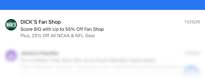 Subject lines for newsletters: Example Dicks Sporting Goods 1